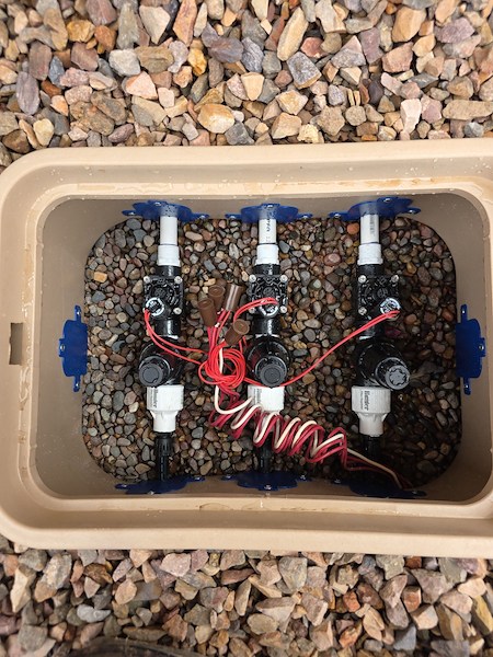 DIY vs. Professional Irrigation and Landscape Lighting in Phoenix