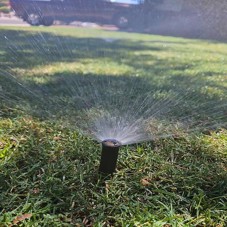 Drip vs. Sprinklers: Which Do You Need?