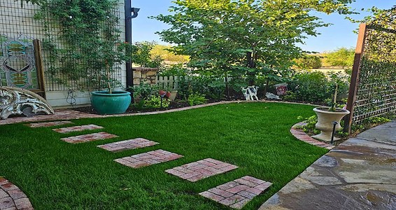How to Keep Your Phoenix Landscape Thriving During Summer